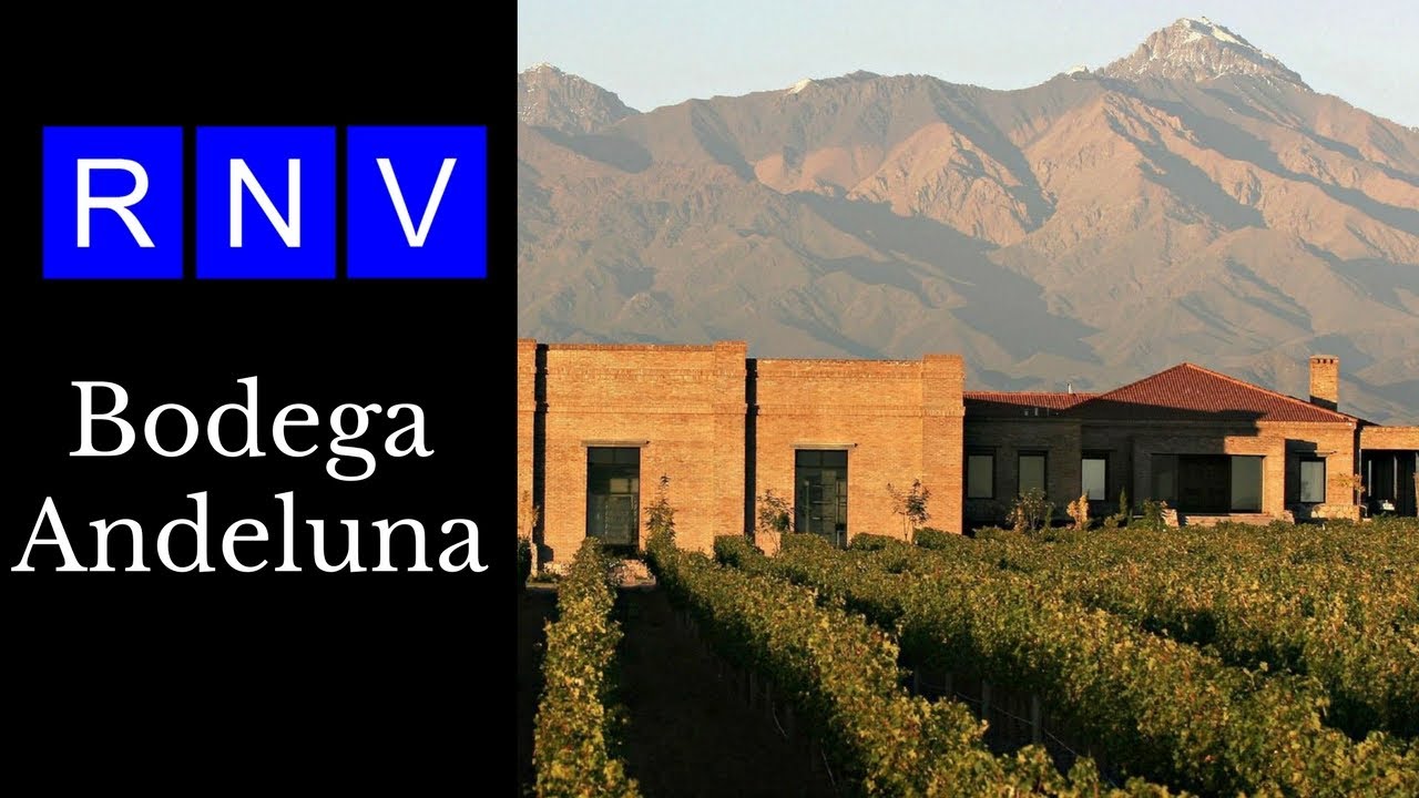 Tour Virtual Bodega Andeluna  Mendoza Argentina RNV - Turismo Bodegas y Vinos Argentinos