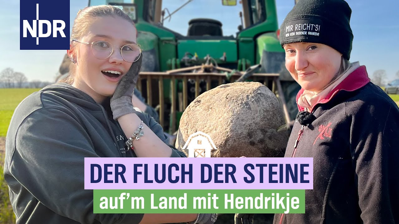 Hendrikjes Challenge: Siebzehn Steine und ein Oschi | Folge 14 | NDR auf'm Land mit Hendrikje