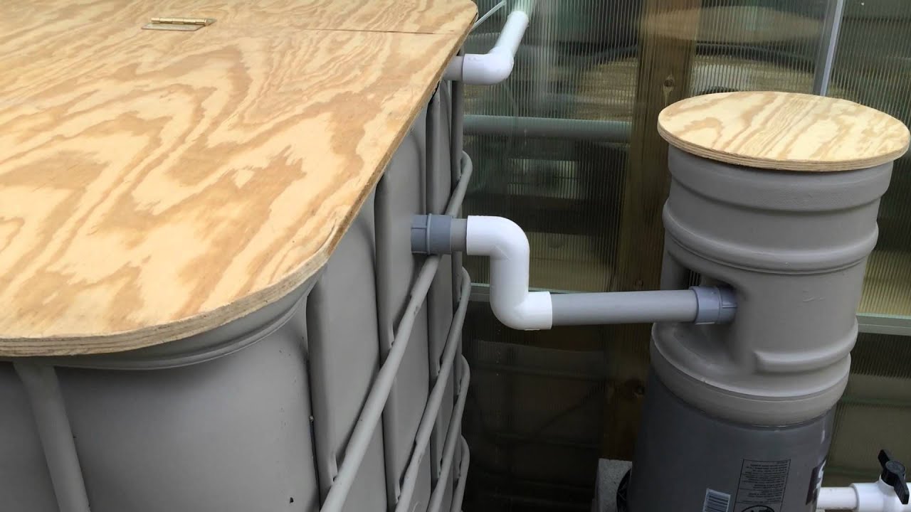 Harbor Freight          10x12 Greenhouse and IBC Aquaponic system