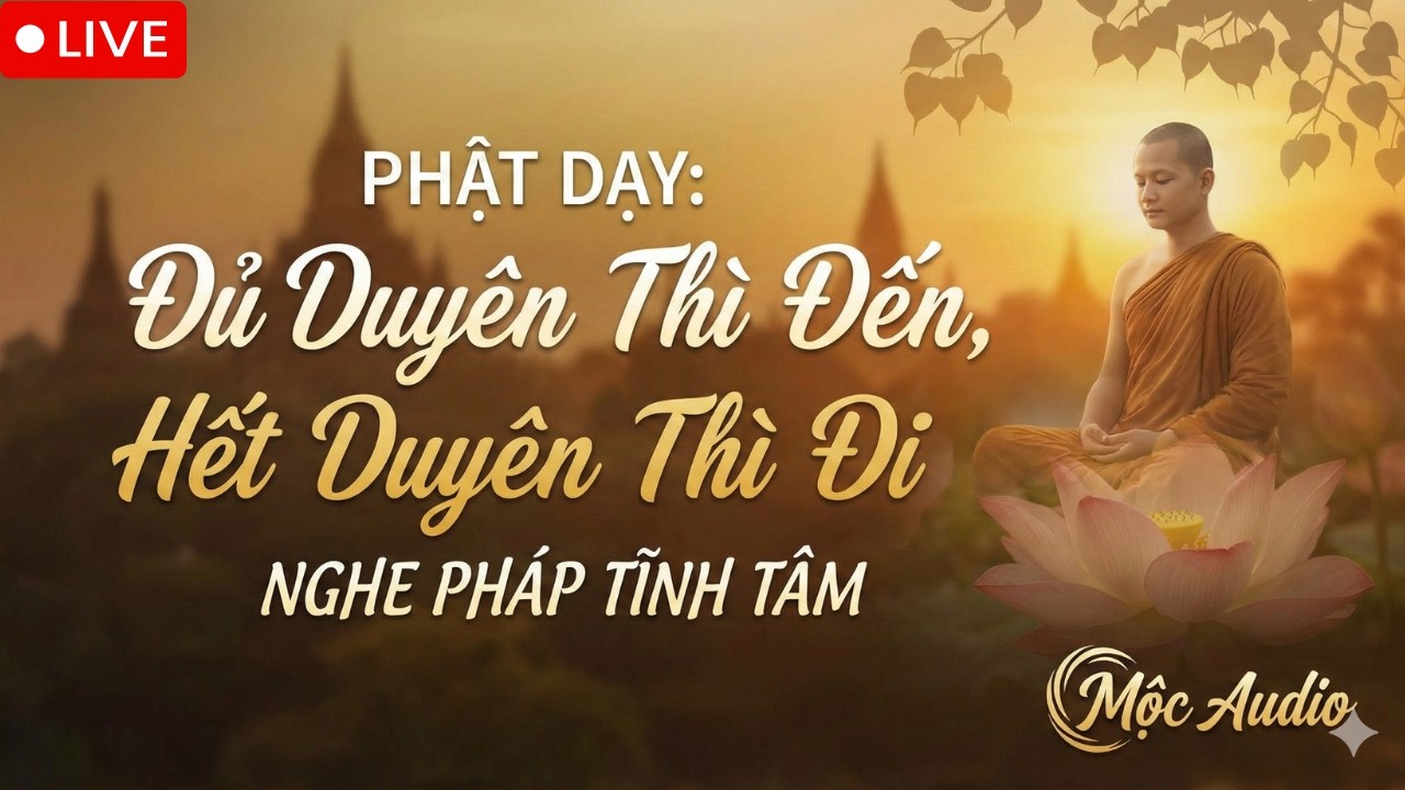 Phật Dạy: Đừng Cố Giữ Người Đã Hết Duyên - Hãy Để Tâm An Giữa Đời Vạn Biến