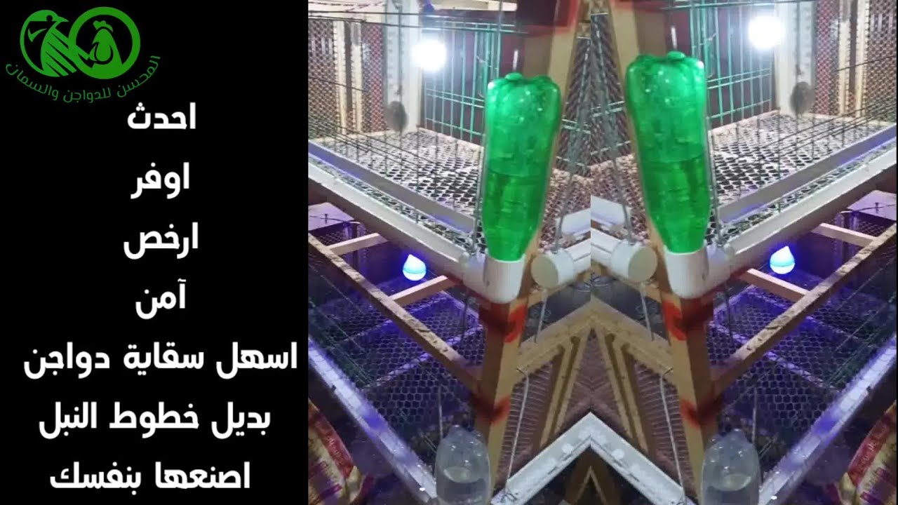 احدث واوفر وارخص وآمن واسهل سقاية دواجن بديل خطوط النبل اصنعها بنفسك