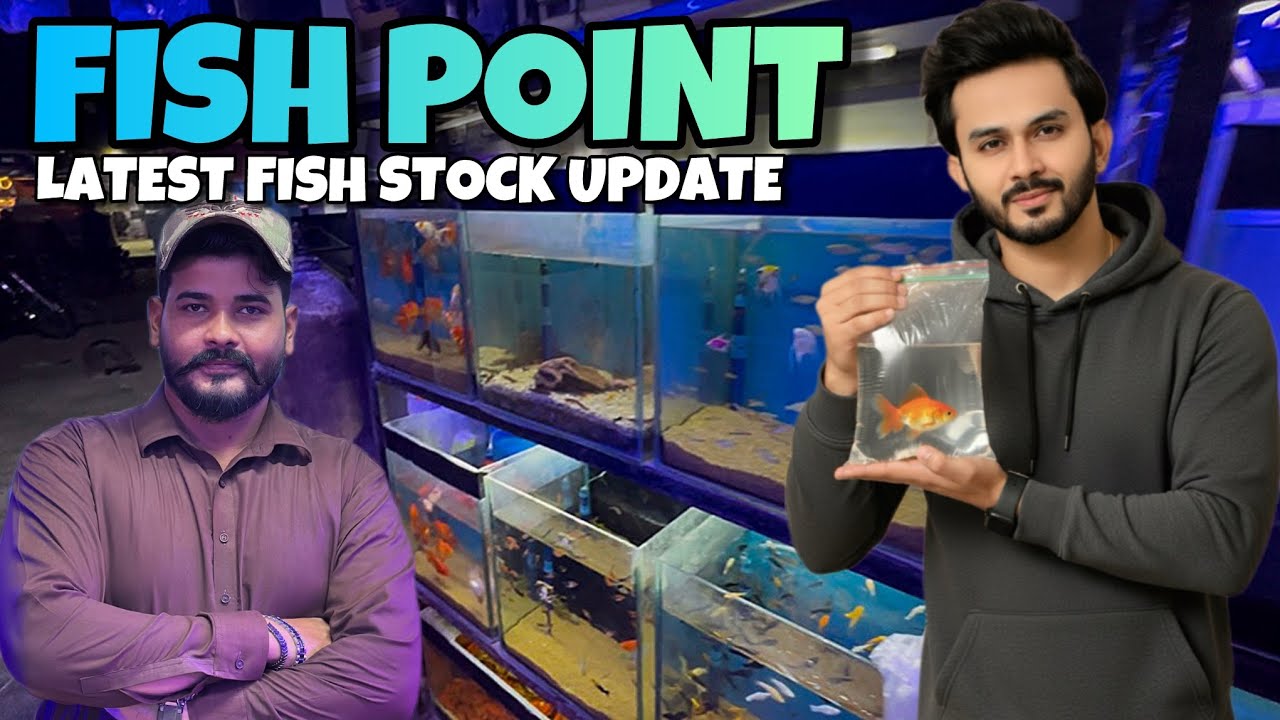 Fish Point Latest Stock Update & Fish Prices 2025 - Imran’s World