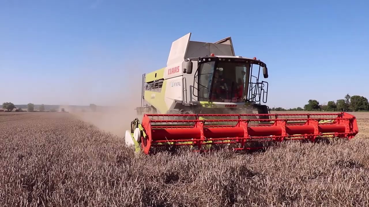 Claas Lexion 780TT & 3x Claas Lexion 6700 _ Búza betakarítás_Wheat Harvest_Weizenernte_2023