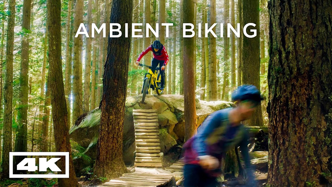 Riding Expresso on the North Shore 🌲 | Relaxing Sounds of MTB