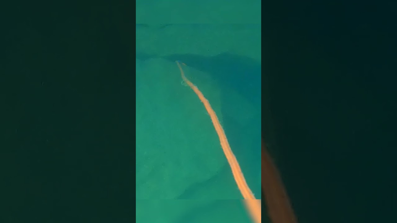 Mysterious Rope Found Underwater Scuba Diving  