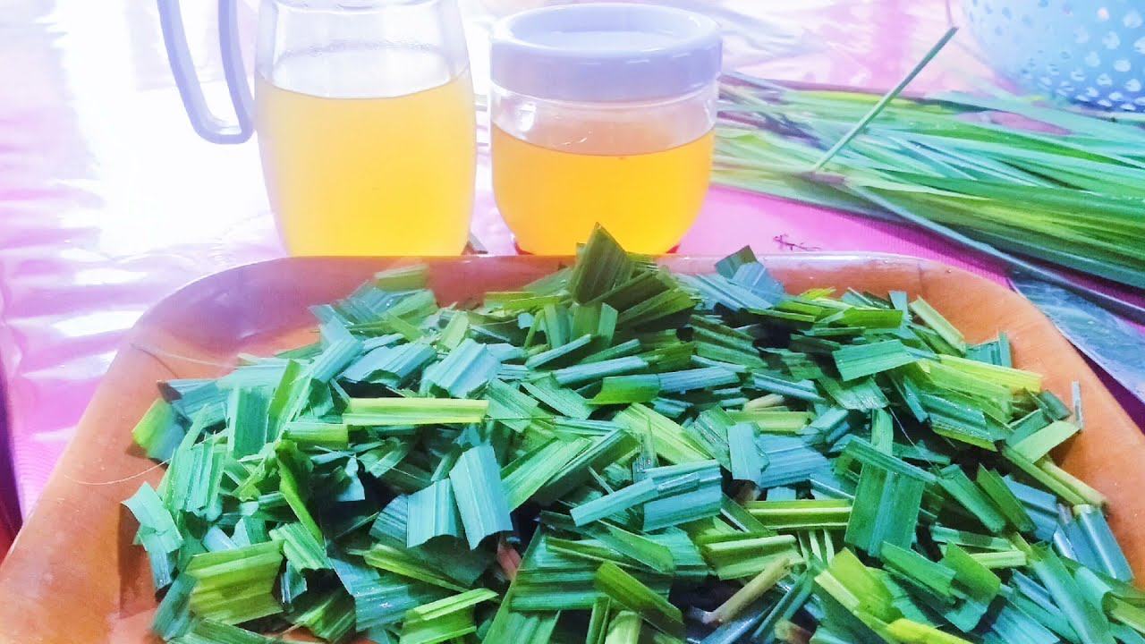 PAANO ANG PAGGAWA NG HOME MADE CITRONELLA OIL /HEALTH BENEFITS / @NyortureTv Halamang Gamot