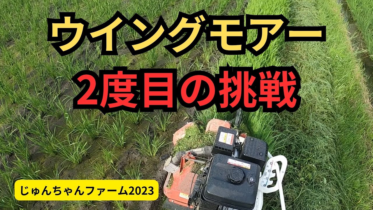 ウイングモアー2度目の挑戦！！いくらか上達しました。