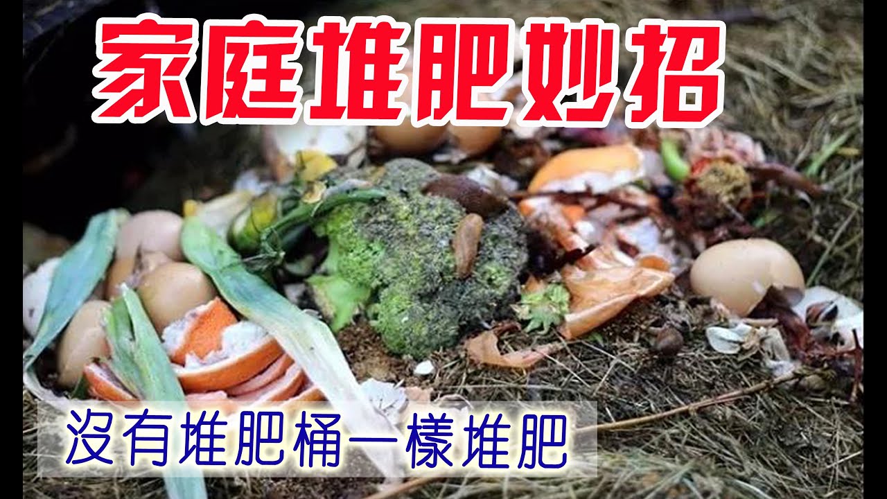 堆肥大全 - 沒有堆肥桶照樣可以堆肥 | 簡單快速堆肥秘訣 | 堆肥幹貨 解答妳關於堆肥的各種問題 How to compost without a compost bin?