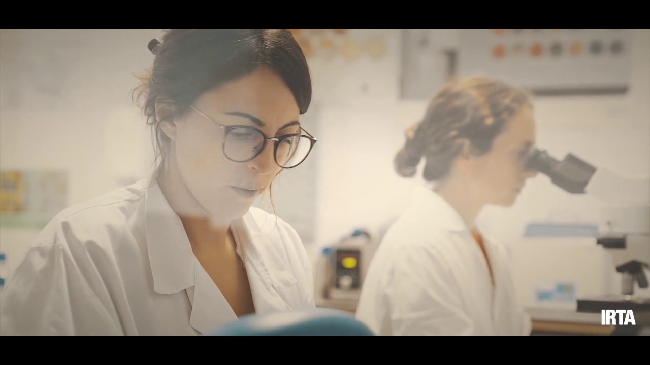 Tratamientos térmicos en alimentos envasados (PROTERM)