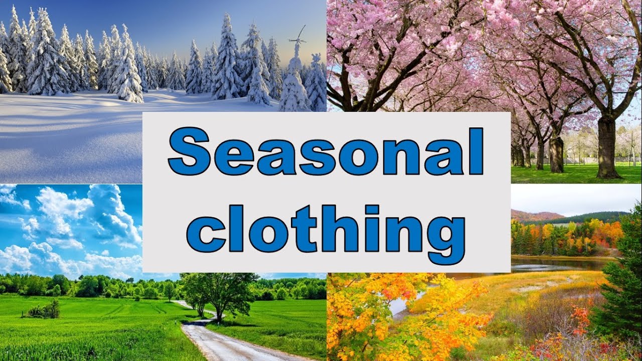 Seasonal clothing. Сезонний одяг. Репетитор Англійської