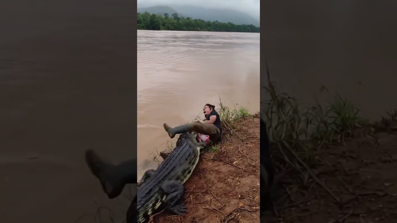 looks like a little😰 croco... BUT WHAT POWER HE HAS..😱🤯 #chaos #energy #crocodile #animals