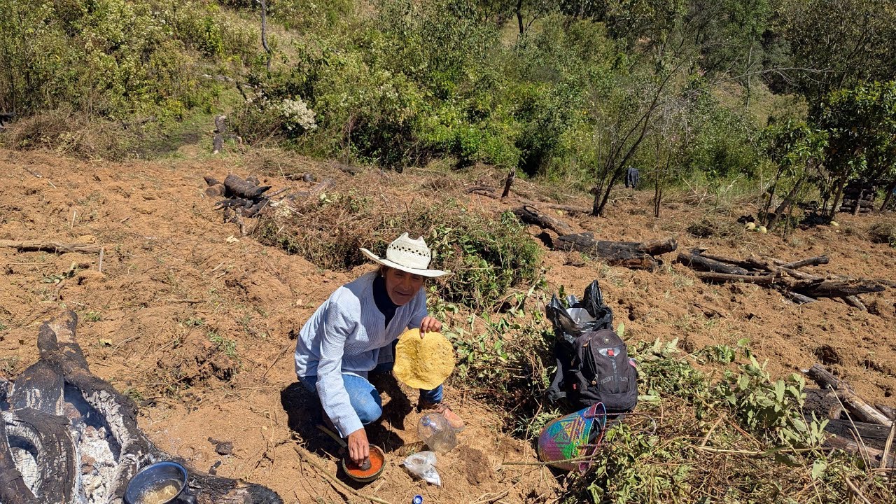 Gracias a Dios un año más trabajando en la madre tierra...