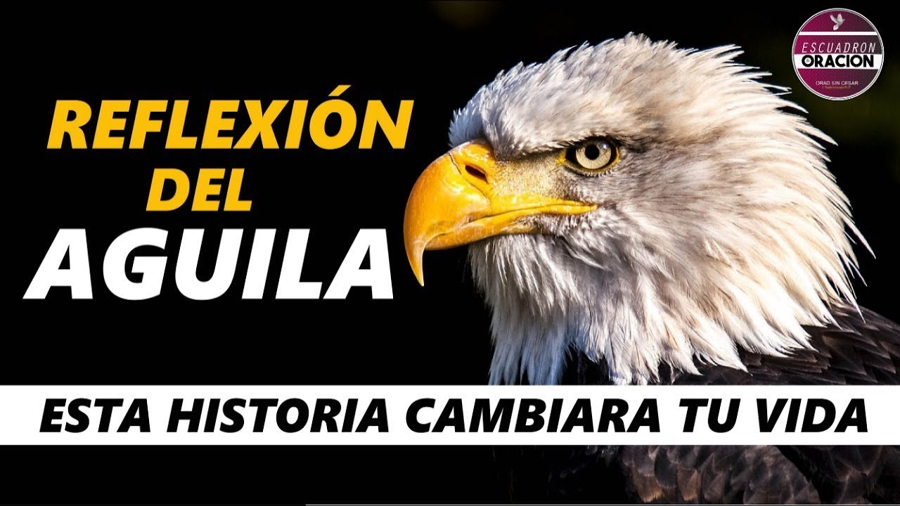REFLEXION DEL AGUILA - UNA HISTORIA QUE CAMBIARA TU VIDA PARA SIEMPRE