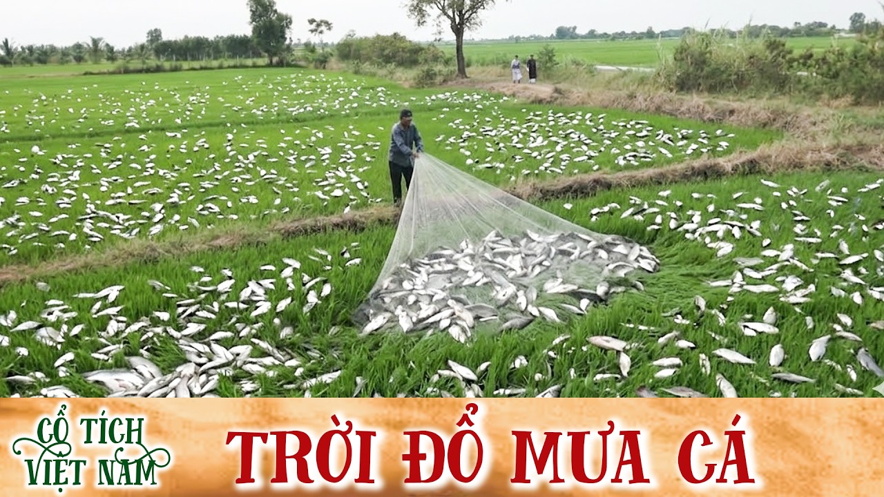 CỔ TÍCH MỚI 2026 | TRỜI ĐỔ MƯA CÁ | CỔ TÍCH VIỆT NAM MỚI HAY NHẤT 2026