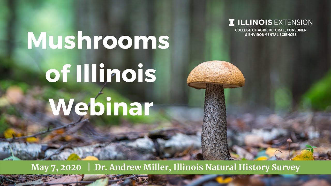 Mushrooms of Illinois Webinar | May 7, 2020
