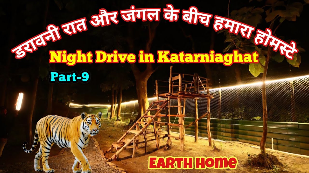 खतरनाक जंगल के बीचों बीच बना यह होम्स्टे | Night Drive near Dense Forest of Katarniaghat #Wildlife