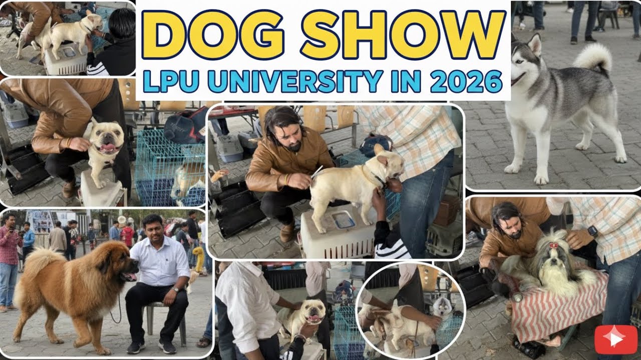 Vlog-238/365 India’s Biggest University Dog Show 2026! 🐾 | LPU Campus#phagwara#jalandhar#punjab#lpu 