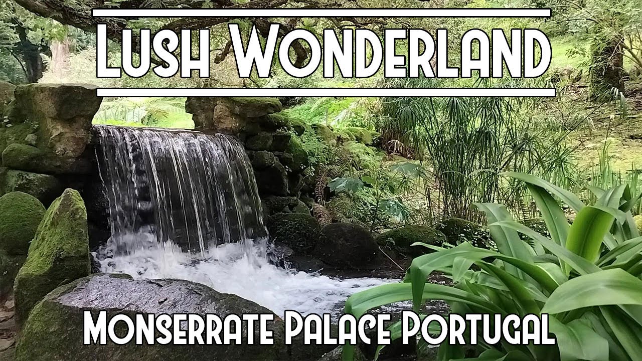 Be Mesmerized by Lush & Exotic Garden Ambience of Monserrate Palace Botanical Gardens | Calm Music