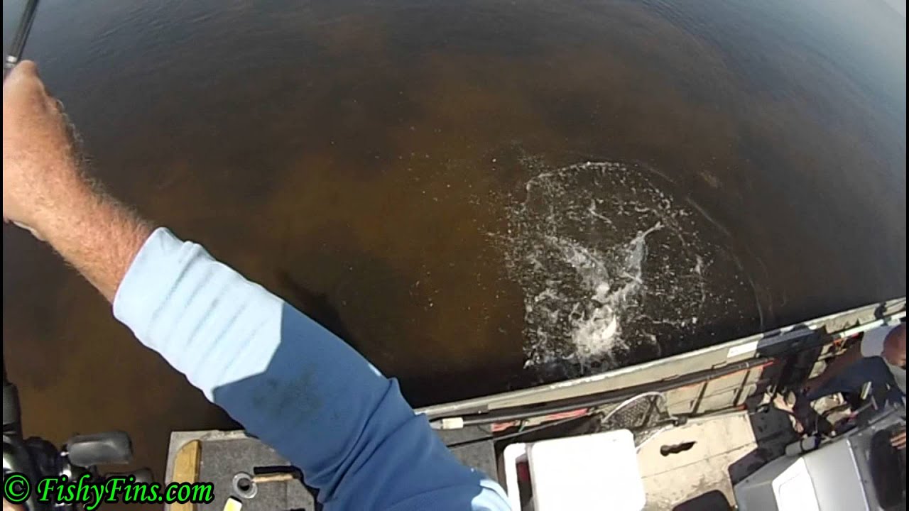 Redfish Strike King Electric Chicken