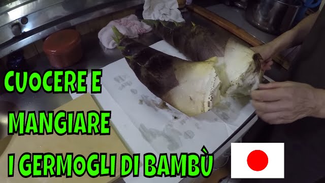 CUOCERE E MANGIARE I GERMOGLI DI BAMBÙ