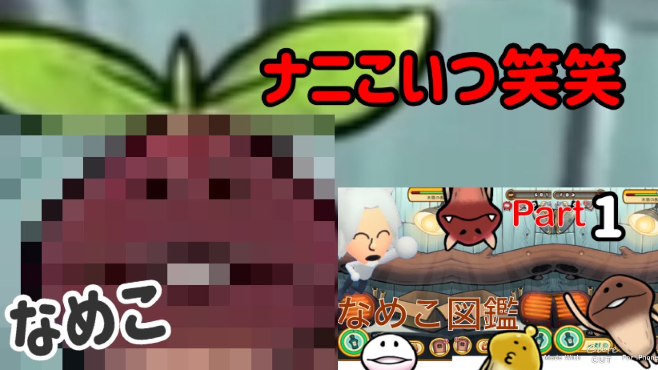 『なめこ栽培』#1- 僕はあなたのなめこを育てたい。