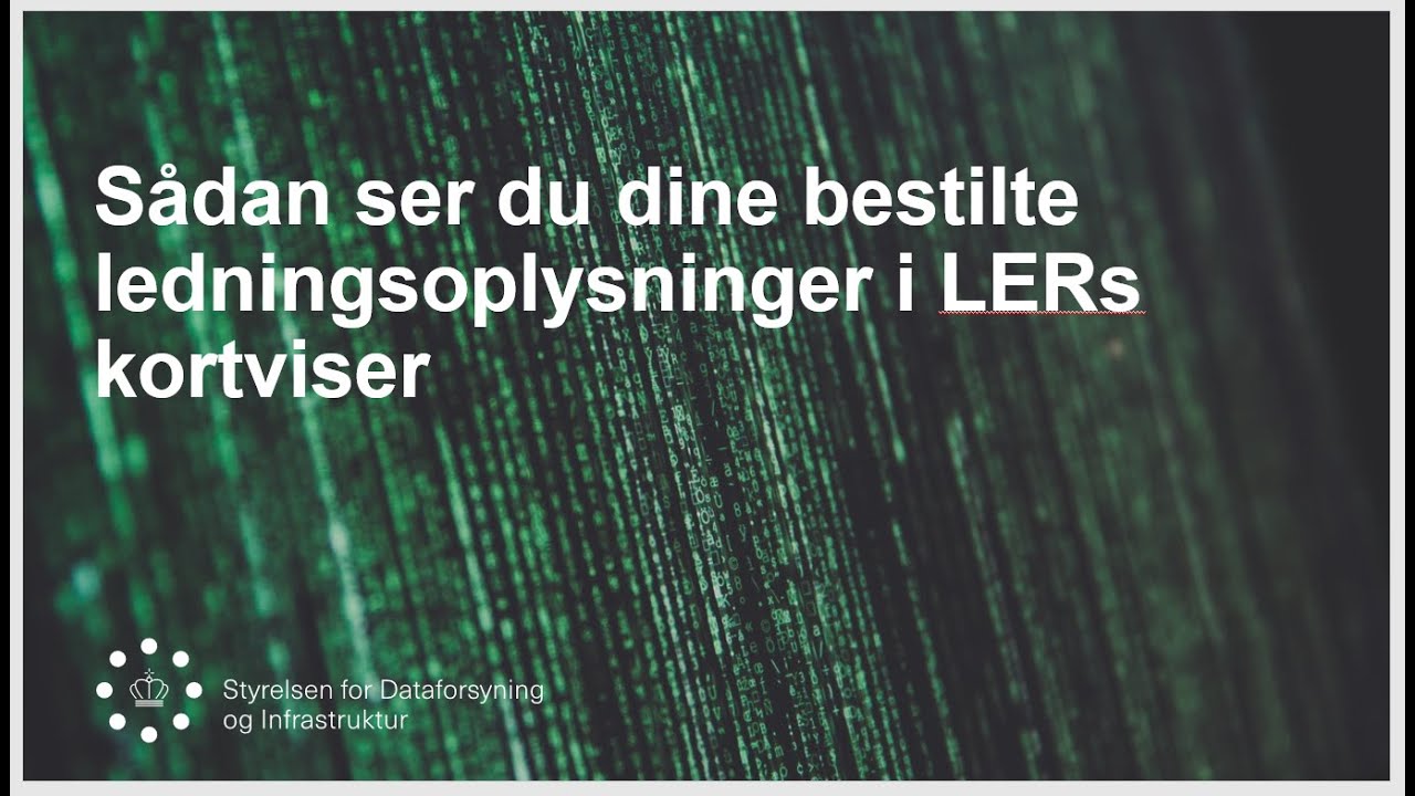LER-vejledning: Se dine ledningsoplysninger