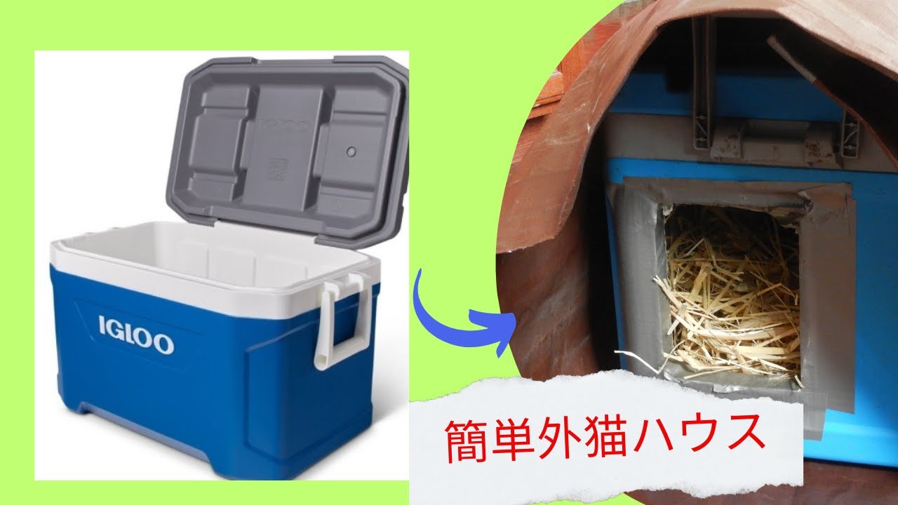 【外用猫ハウス】クーラーボックスで超簡単！しかも保温効果抜群！
