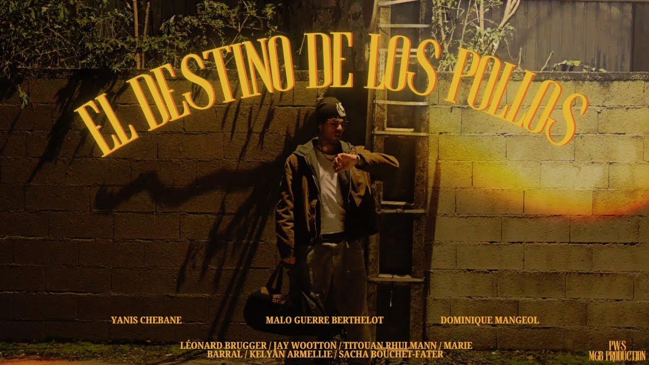 EL DESTINO DE LOS POLLOS - [Court-Métrage] 