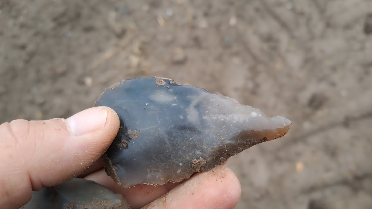 Flint hunting. Back to the sandy hill and a short visit in 
