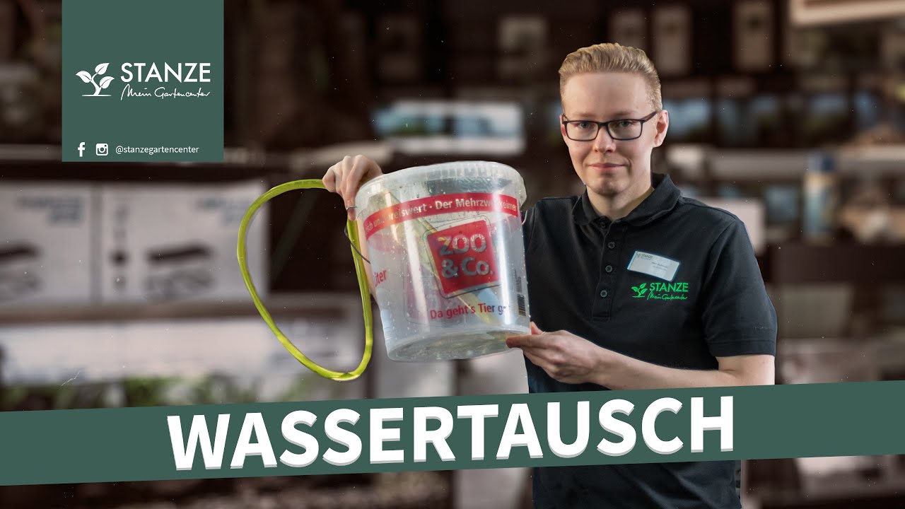 So wechselt man das Wasser im Aquarium!