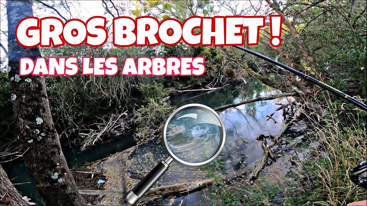 Cette RIVIERE est pleine de SURPRISES ! ( avec @TIM FISH )