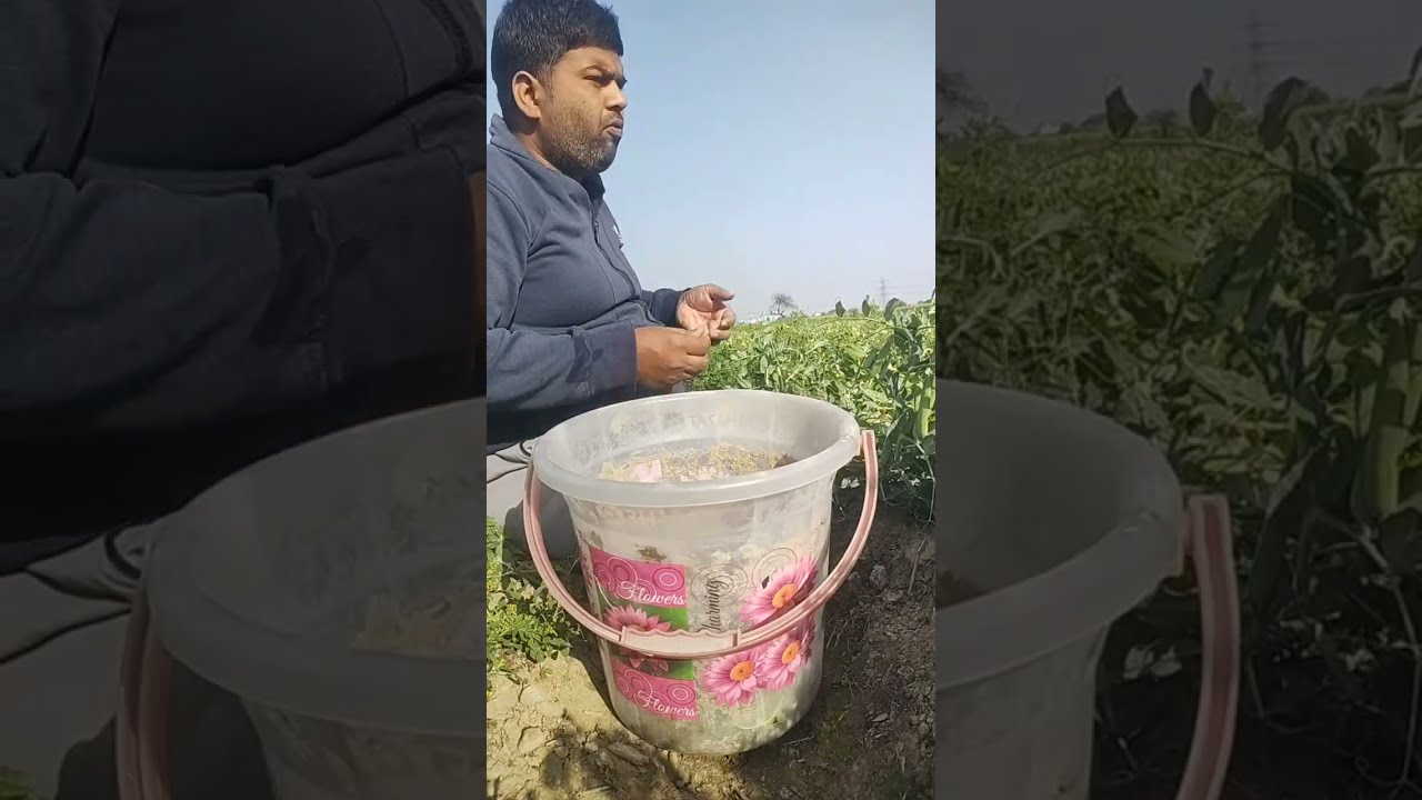 Kumar Amit village life  is live!
