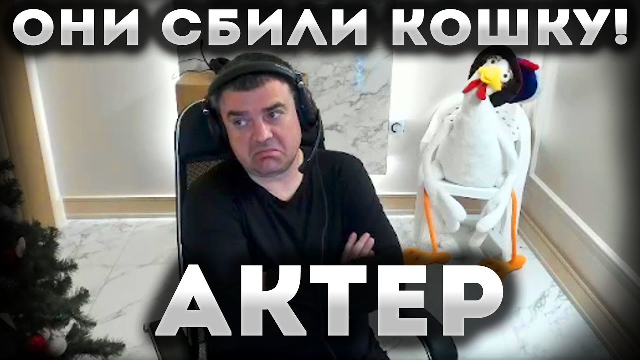 Увидел СБИТУЮ КОШКУ на ДОРОГЕ!