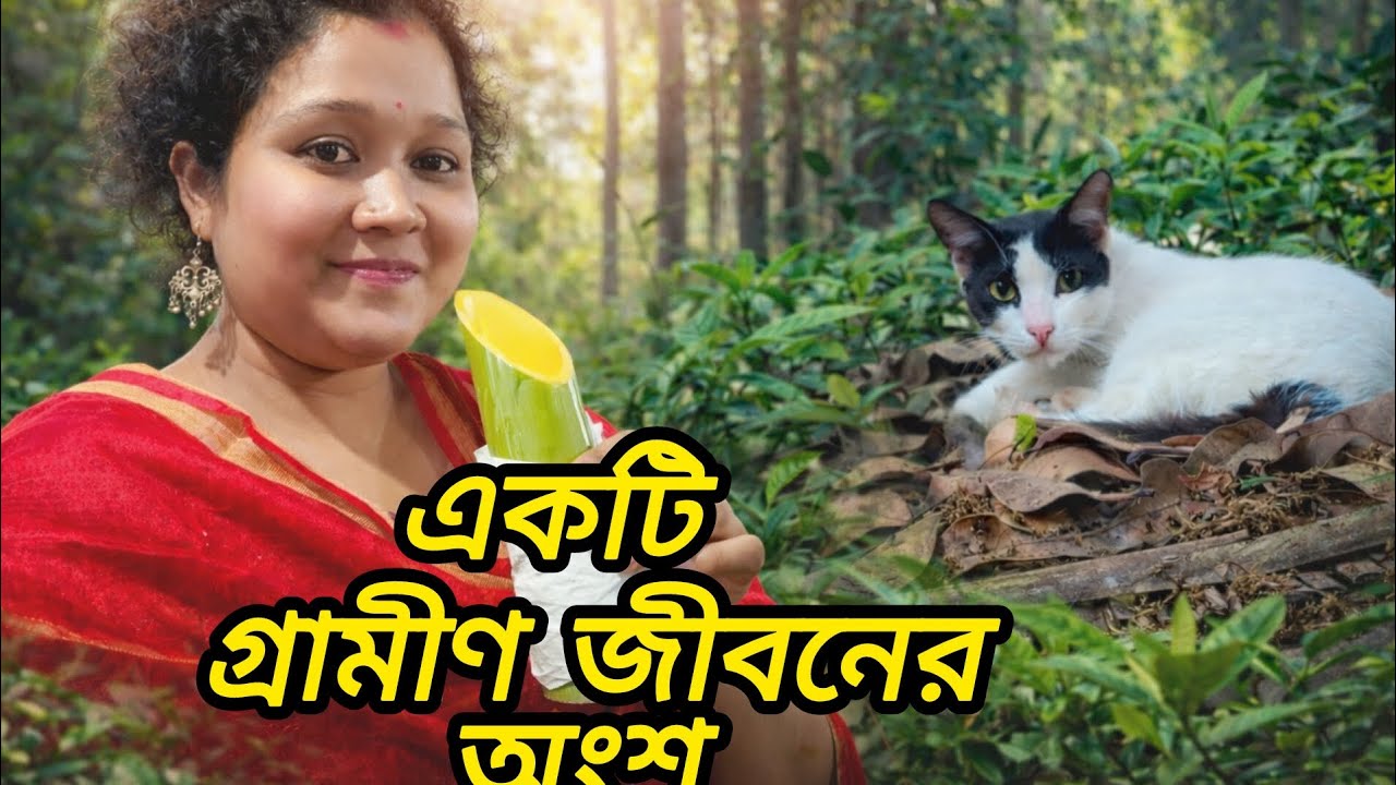একটি চমৎকার গ্রামের সারাটিদিন।।। beautiful village in daily life।। 