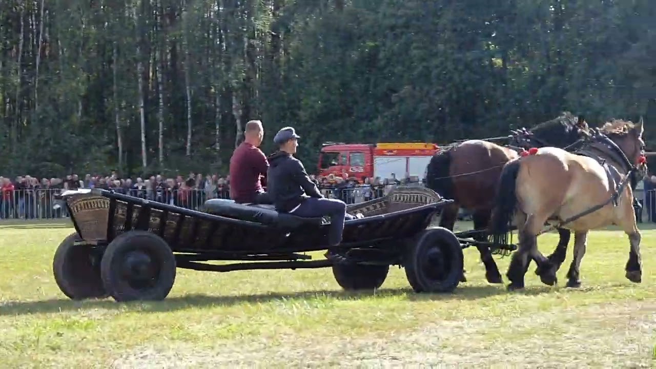 12 Regionalne Święto Hodowców Koni Górki k. Garwolina. wyścigi zaprzęgów (2)