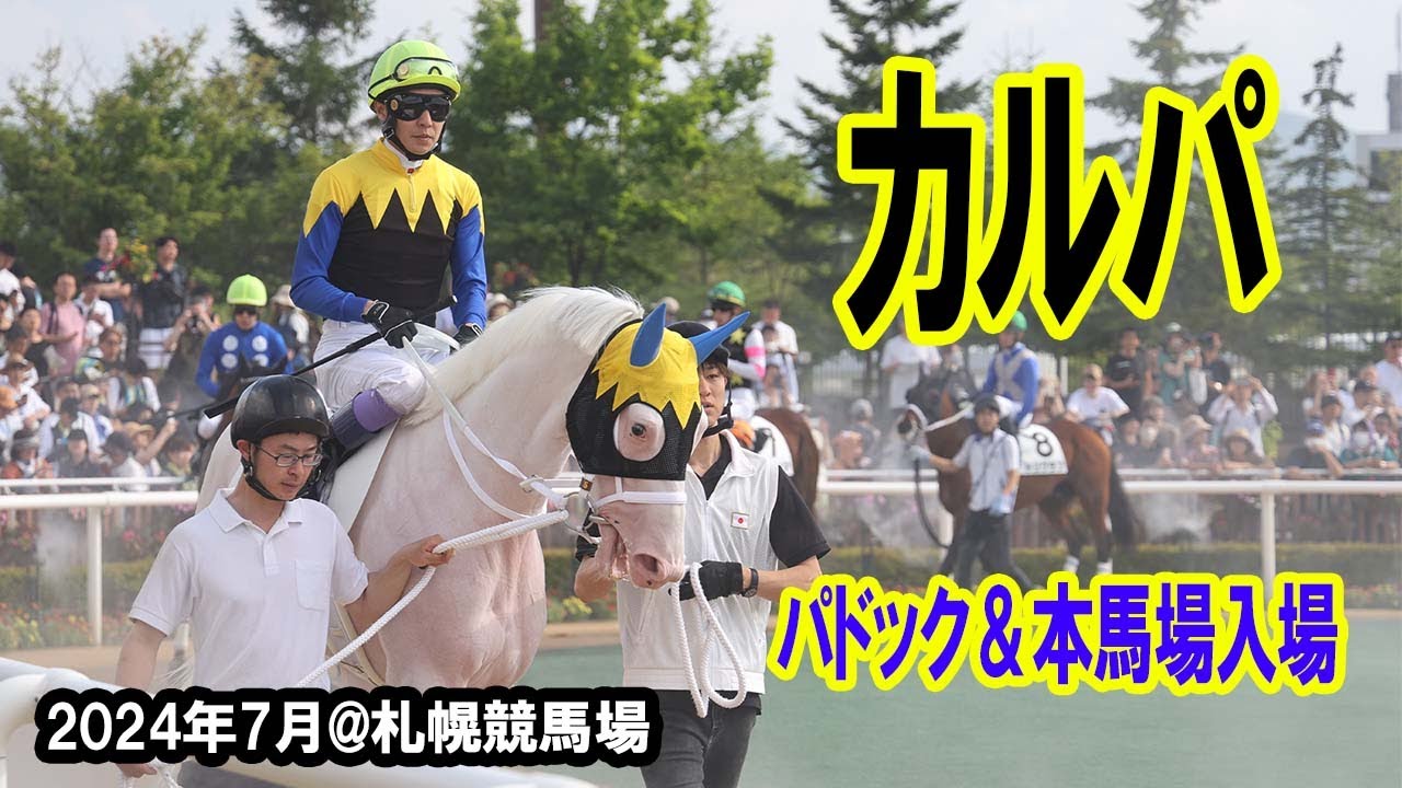 【現地撮影】カルパ　真夏の太陽の下、白い馬体がうっすらピンクがかっていた　パドック～本馬場入場