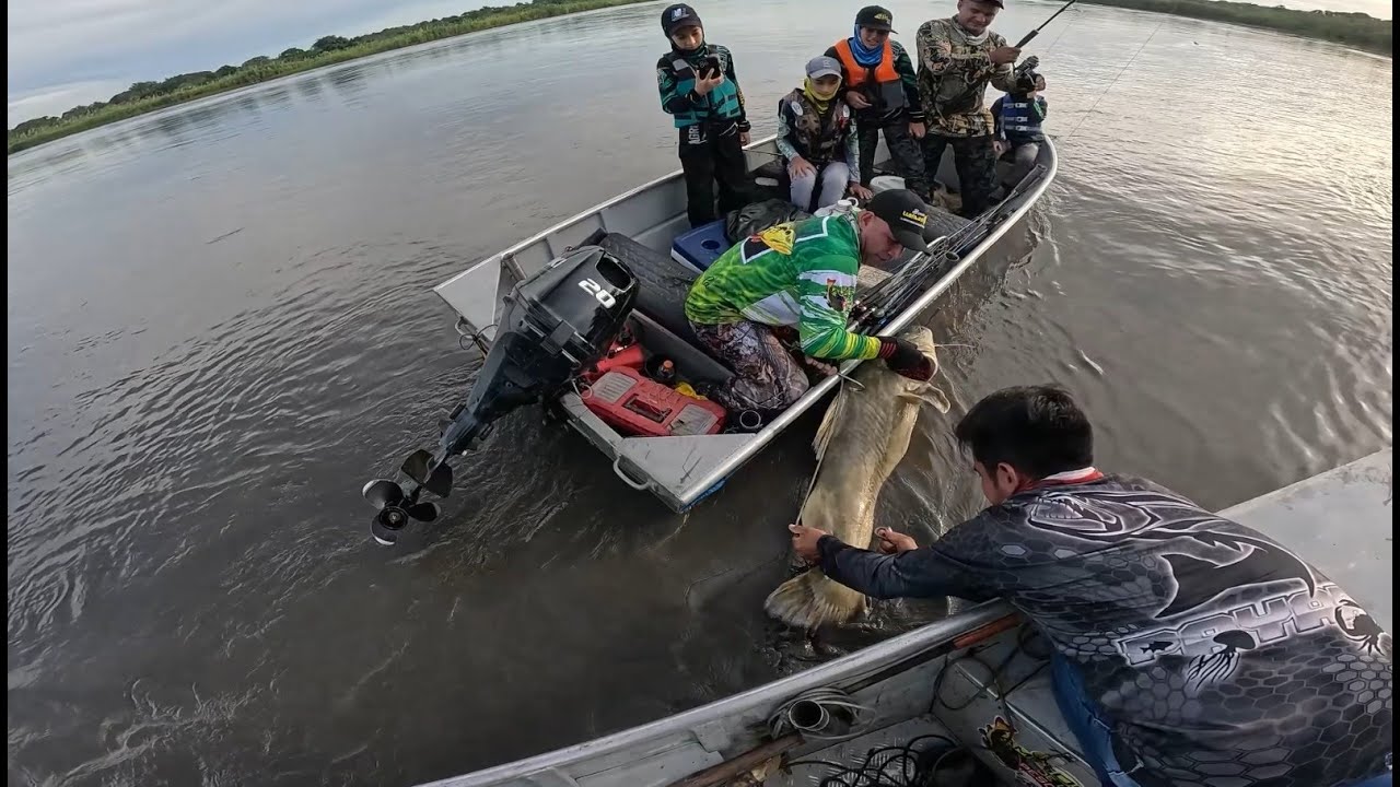 Por primera vez pescamos un amarillo de 50 kilos con la caña de pescar