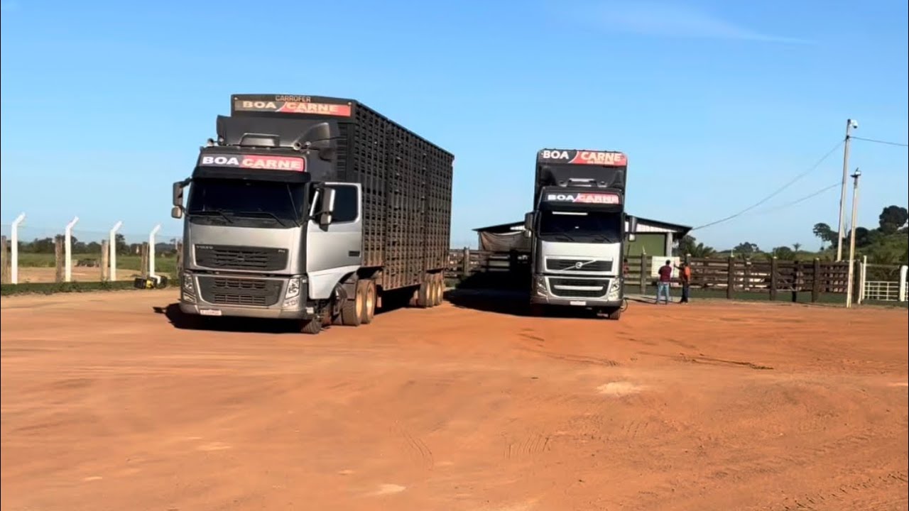 FAZENDA INGÁS. CARREGANDO BOI GORDO