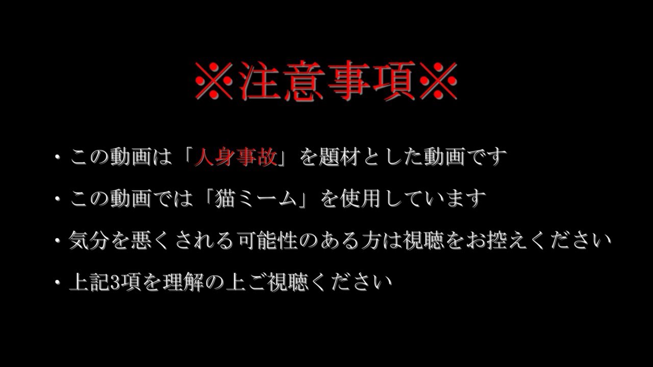 【※閲覧注意※】 #猫ミーム  「うp主が人身事故対応に行ったときの話」(※加筆・修正版)