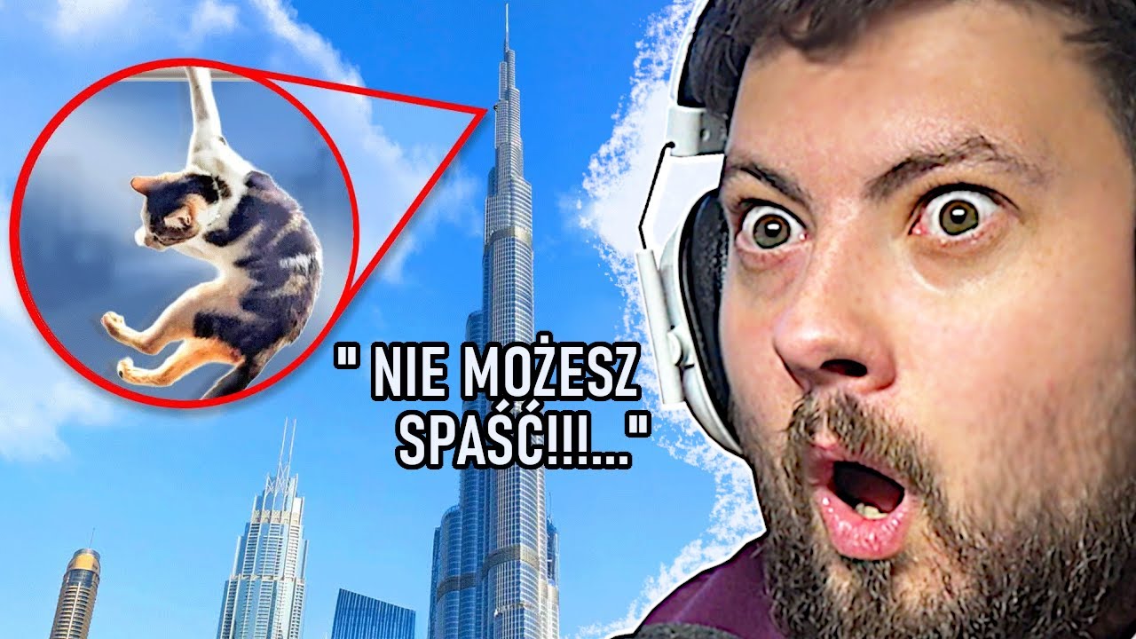 JEDYNA DROGA, TO DROGA W DÓŁ... 🐈༄