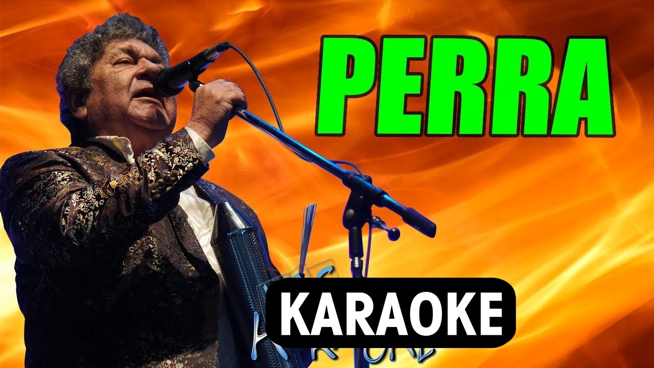 PERRA Los Palmeras / Karaoke con letra