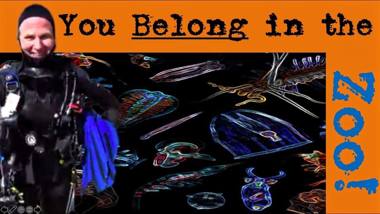 40: BONFIRE OR BLACK WATER DIVING - THE NEW RAGE?  We try it in Anilao and it was FREAKY!!!