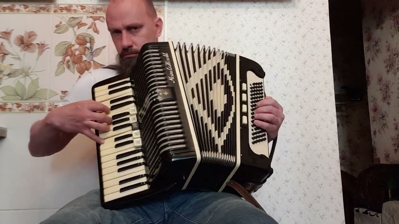 Аккордеон Meinel & Herold. Размер 3/4. Германия. демонстрация.