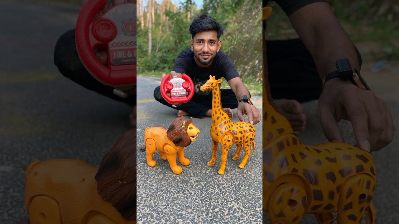 Duita RC animal toy Lion and Giraffe 😍