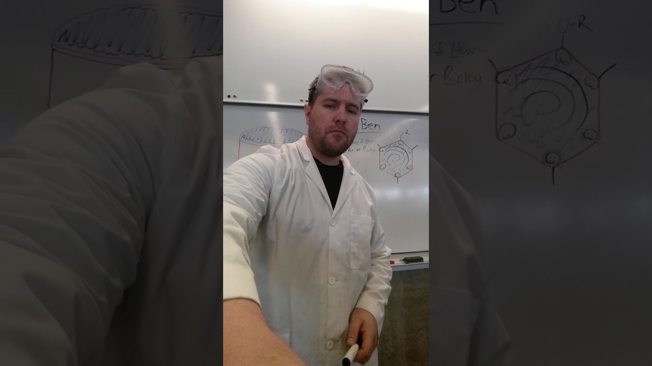 Chemistry in everyday life-benzene rings unedited