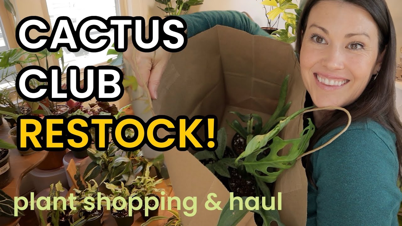 CACTUS CLUB RESTOCK - Rare Plant Shopping & Houseplant Haul - Indoor Plants Charlotte, NC