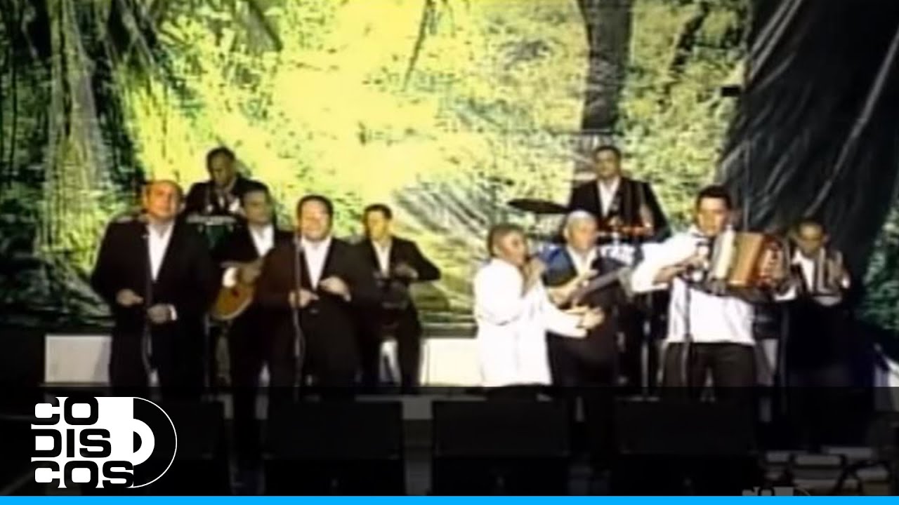 Ausencia Sentimental, Silvio Brito - En Vivo