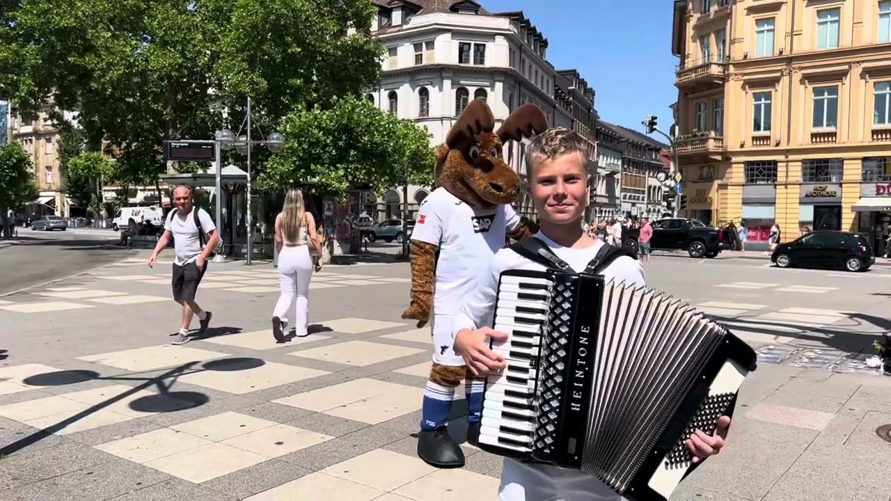 Shock! The moose is in town!!! Elch ist in der Stadt! Лось в городе!)))