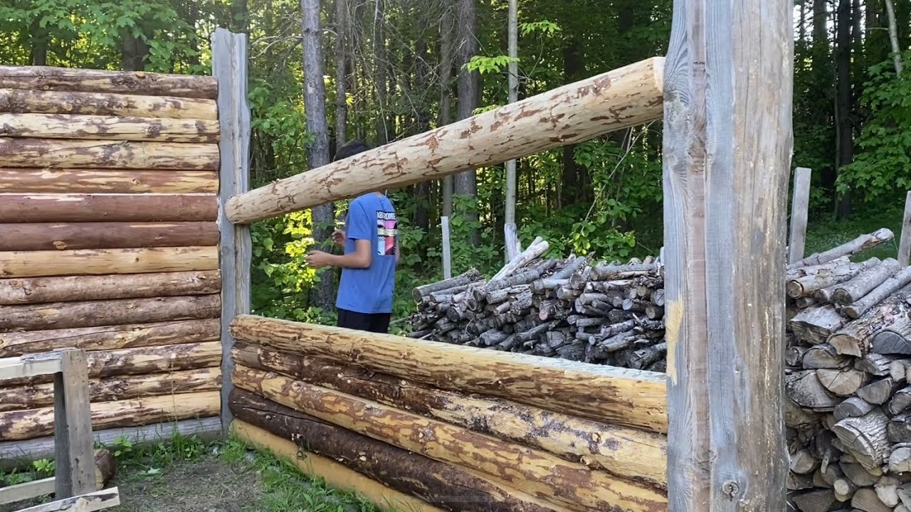 Small log cabin build-update and progress 10