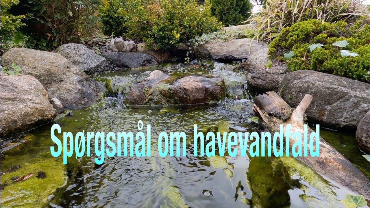 Besvare spørgsmål om vandfald i haven 
